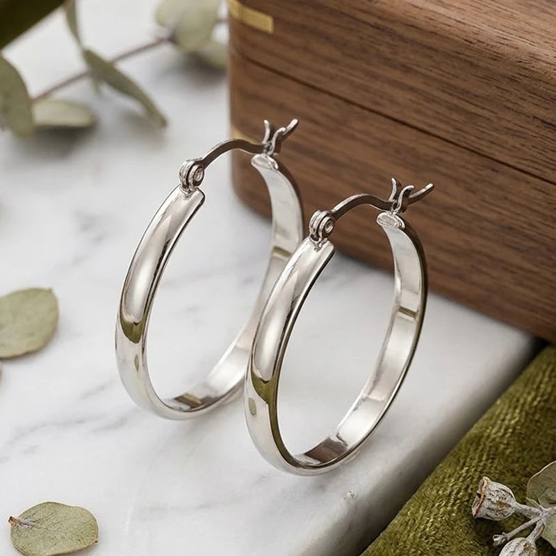Silver-tone stainless steel hoop earrings with hinged clasp, pair of round hoops
