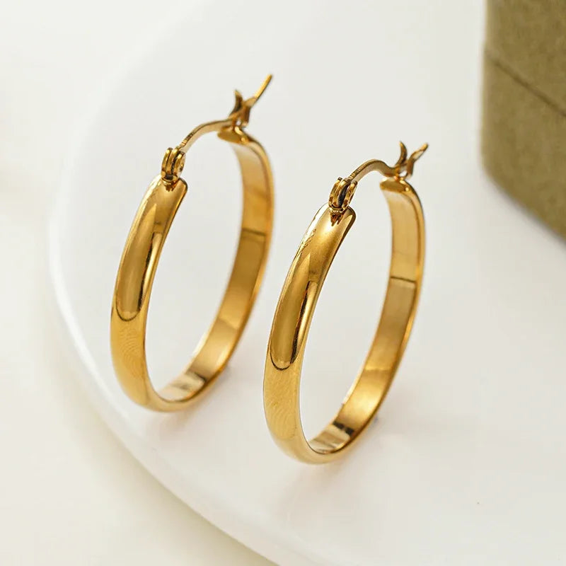 Gold-tone stainless steel hoop earrings with hinged clasp, small round hoops
